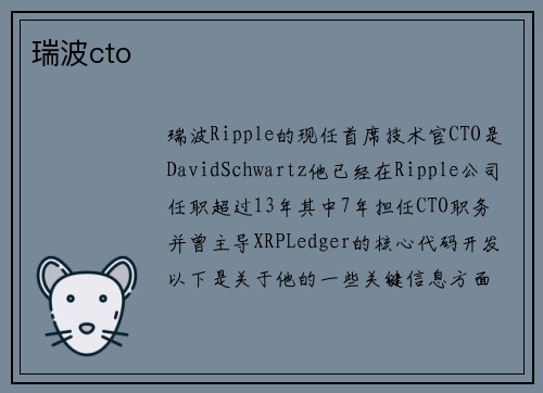 瑞波cto